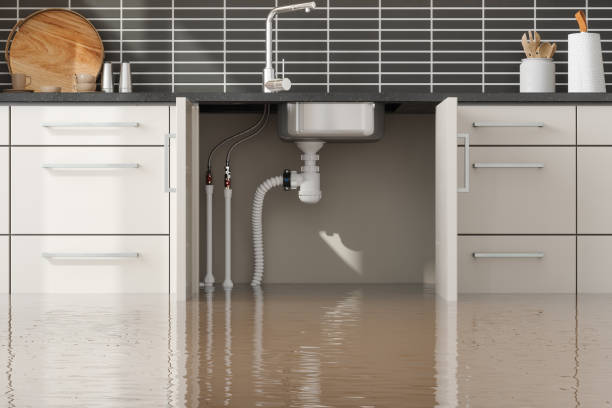 Best Flood restoration services  in Francis, UT