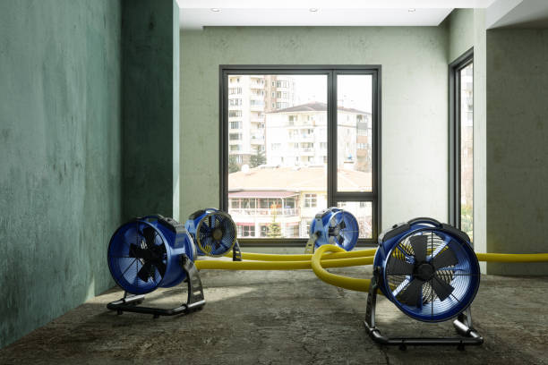 Water damage restoration experts in UT